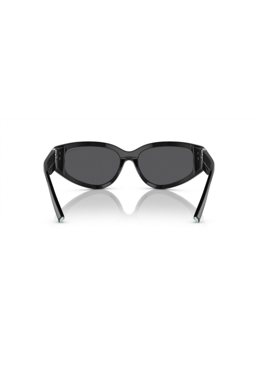 TF4217 Sunglasses