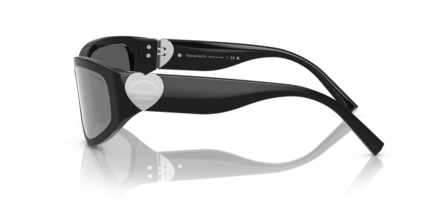 TF4217 Sunglasses