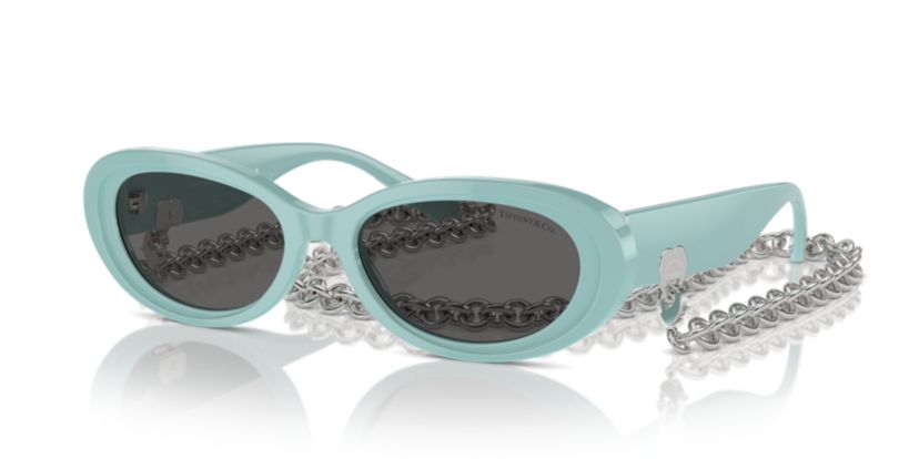 TF4221 Sunglasses