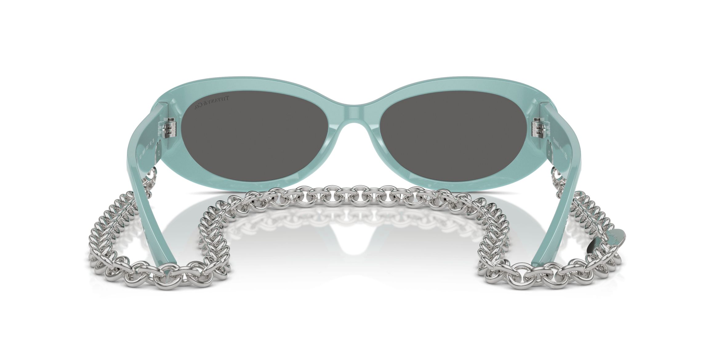TF4221 Sunglasses