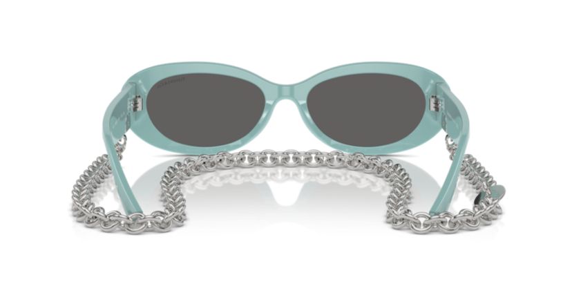 TF4221 Sunglasses