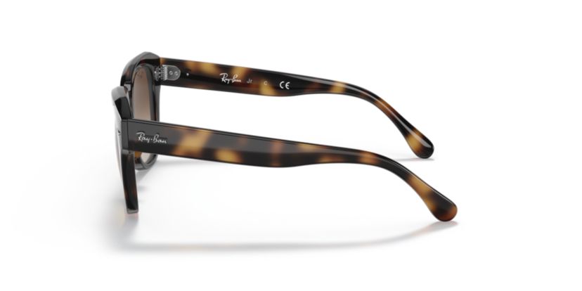 RB9186S State Street Kids Sunglasses