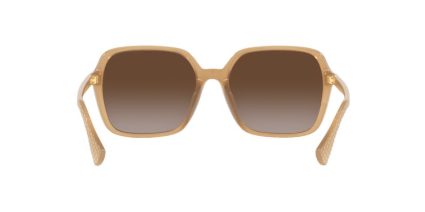 RA5291U Polarized Sunglasses