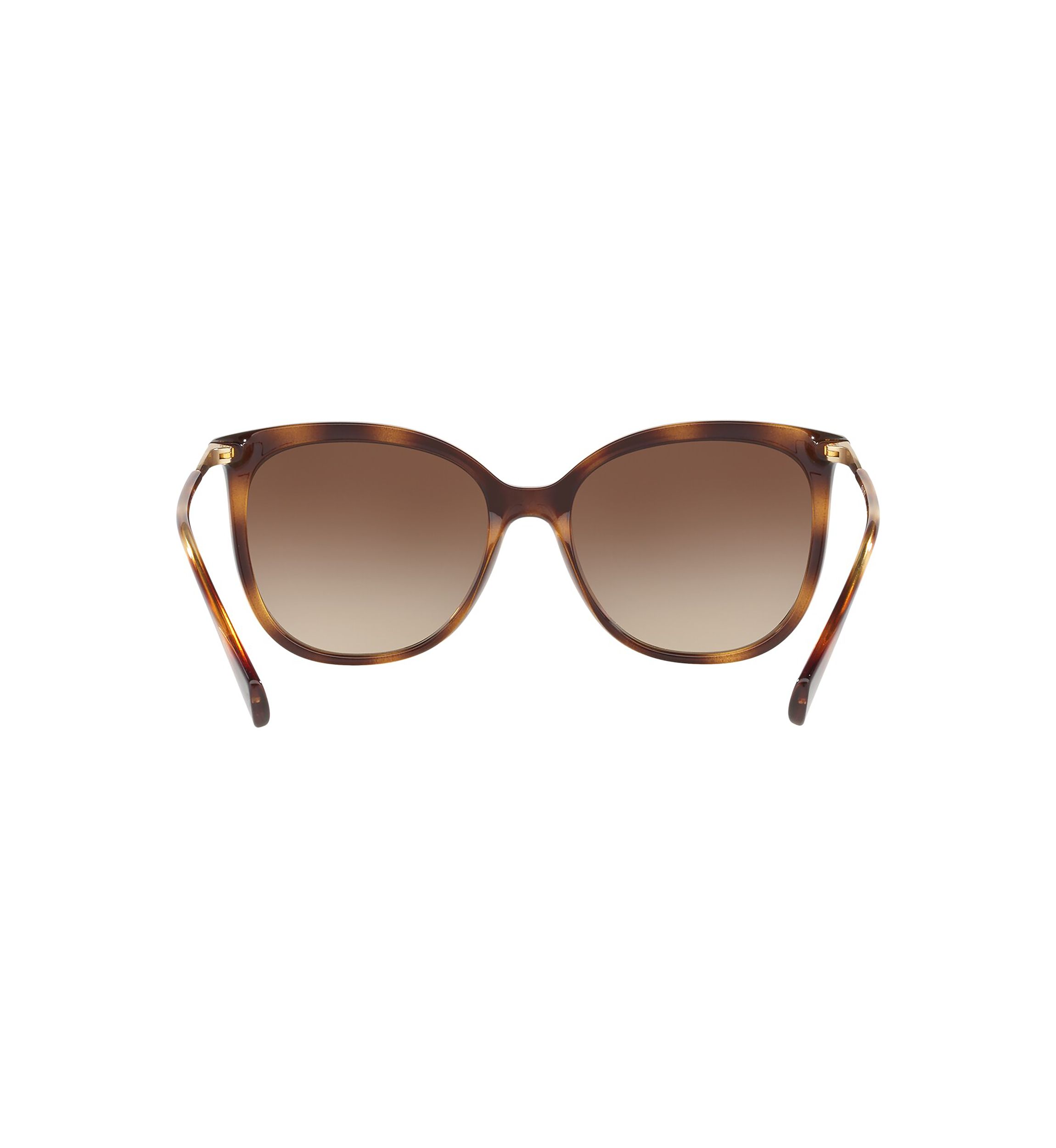 RA5248 Sunglasses