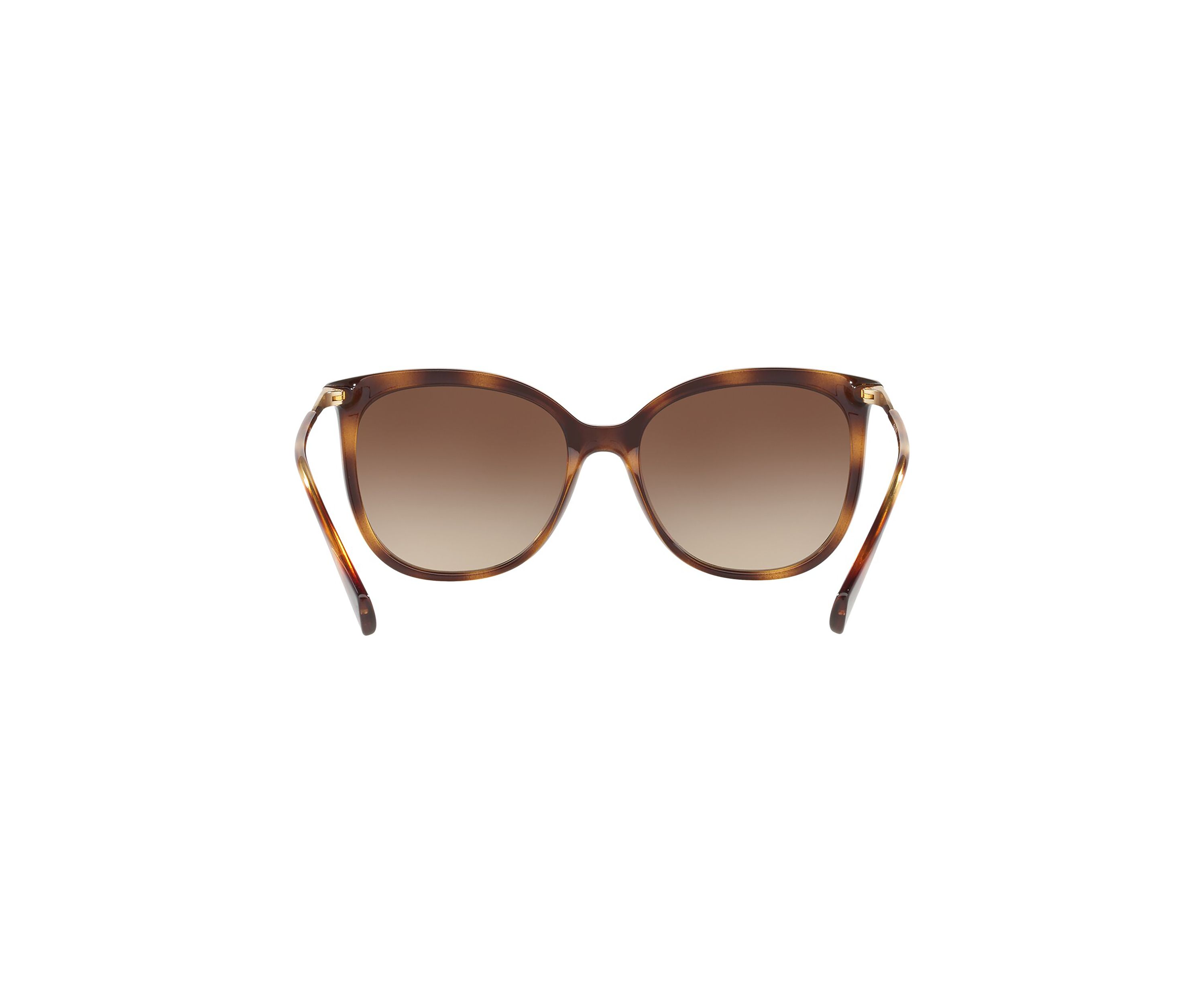 RA5248 Sunglasses