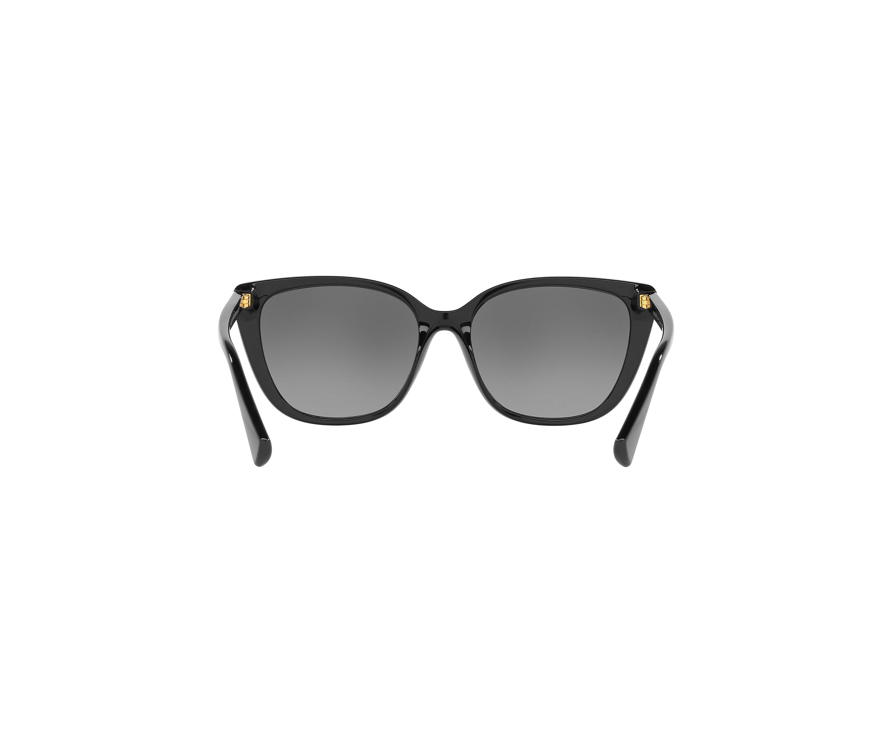 RA5274  Polarized Sunglasses