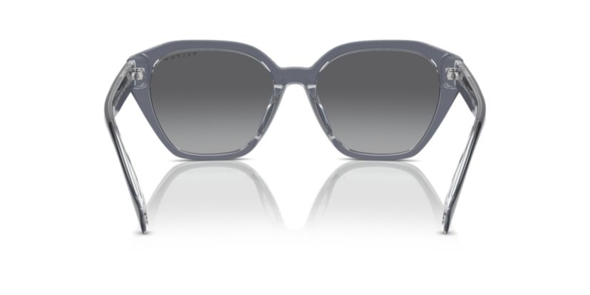RA5315U  Polarized Sunglasses