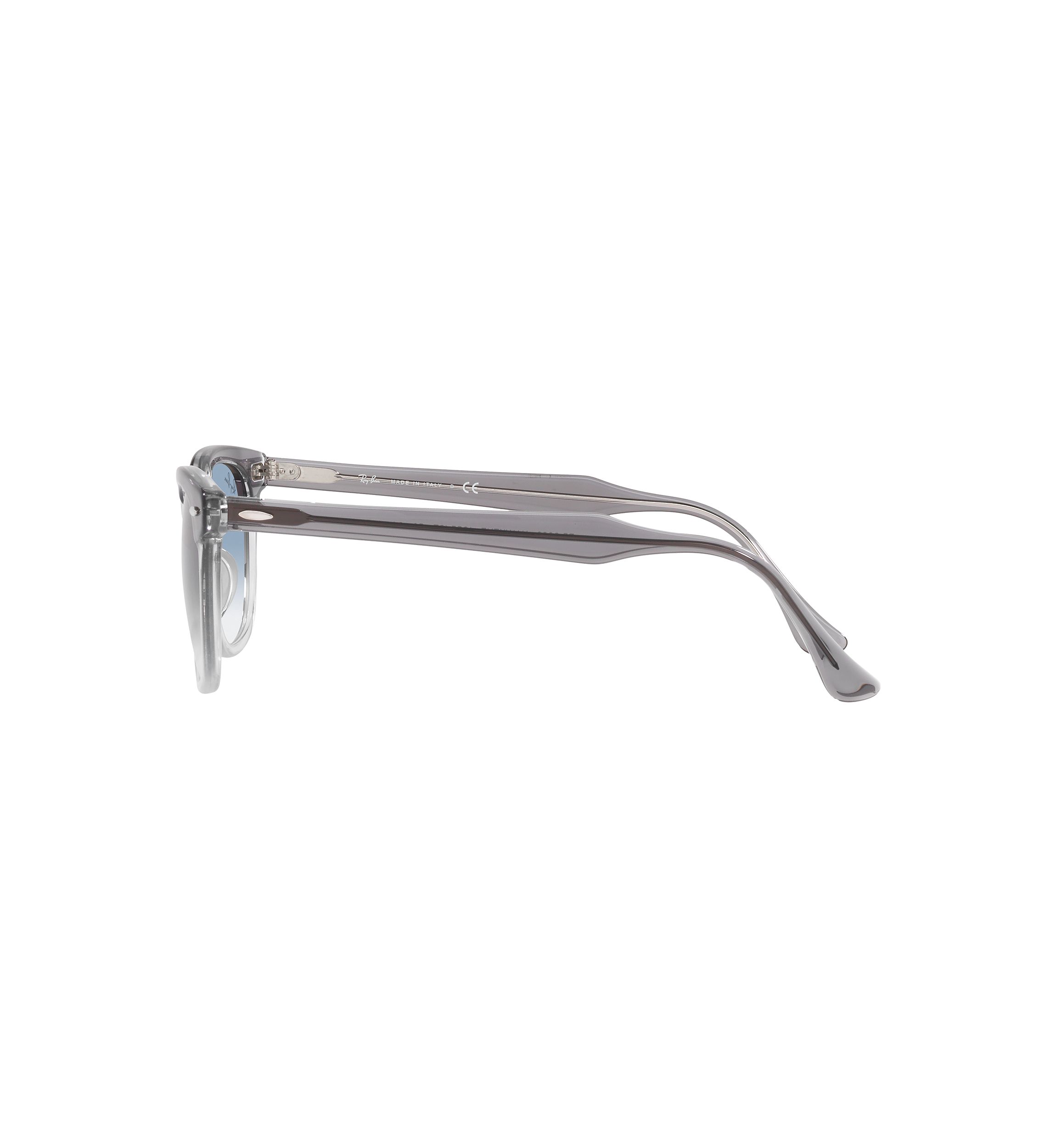RB3589 Sunglasses