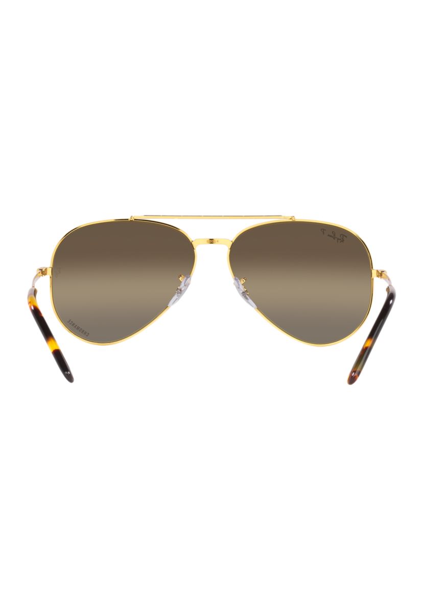 RB4259 Sunglasses