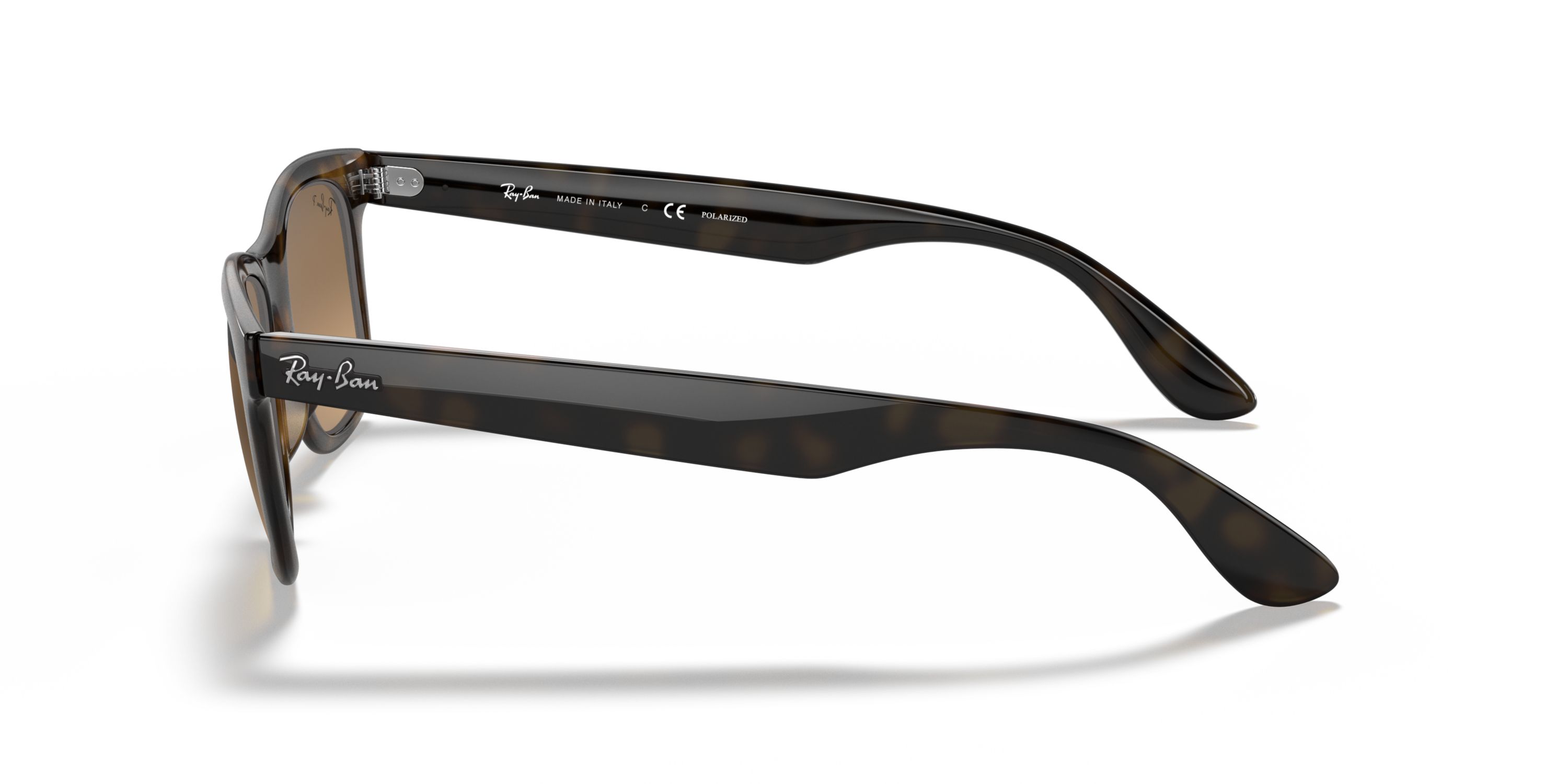 RB4640 Polarized Sunglasses