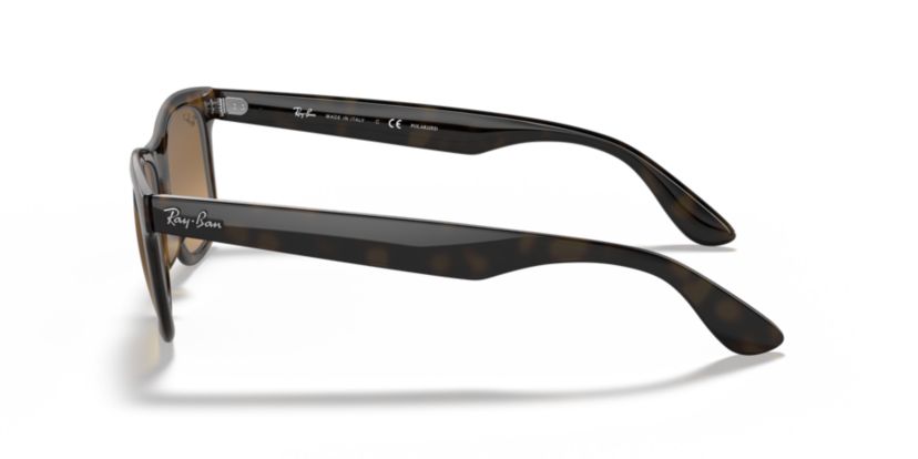 RB4640 Polarized Sunglasses