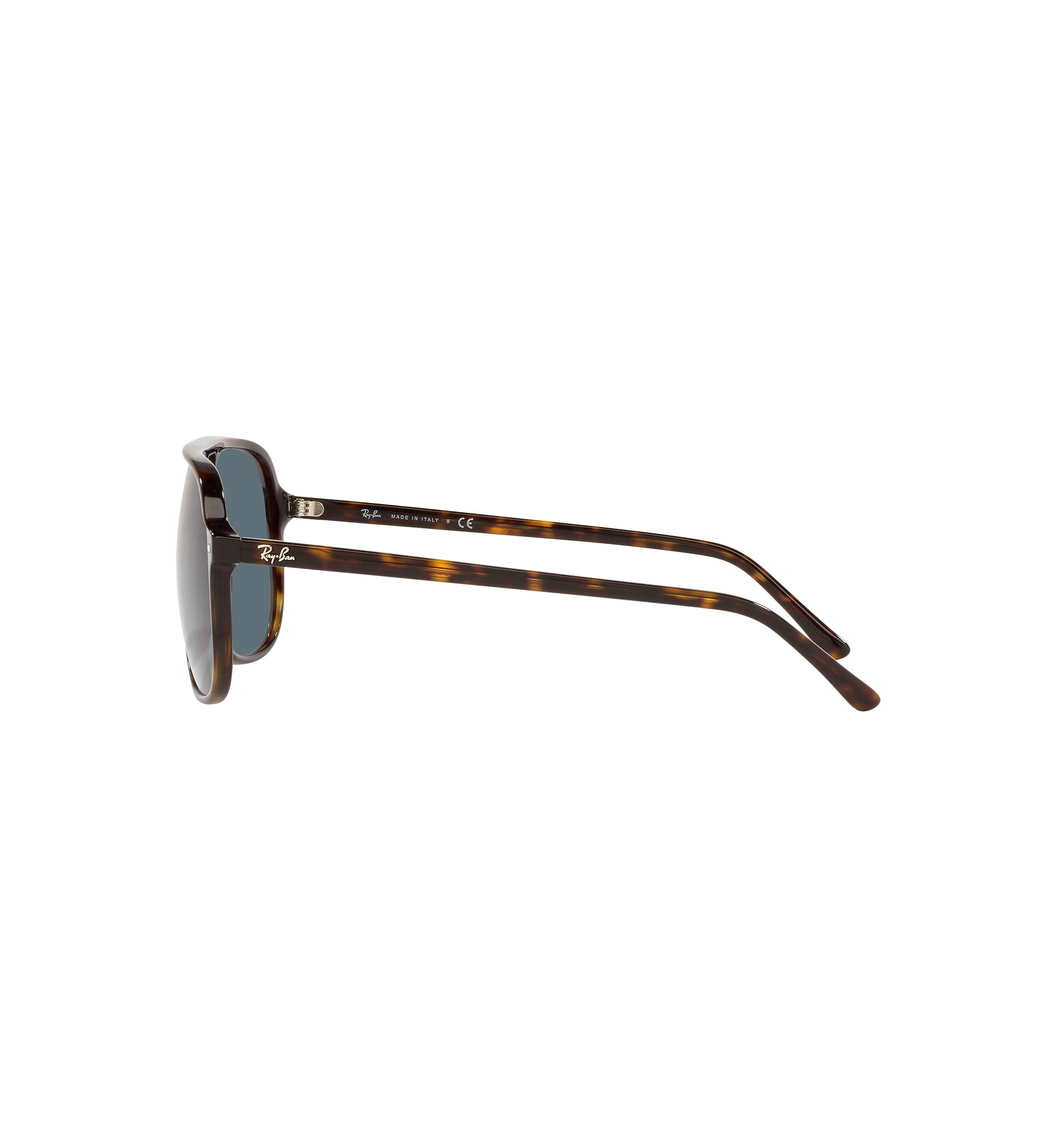 RB2198 Bill Sunglasses
