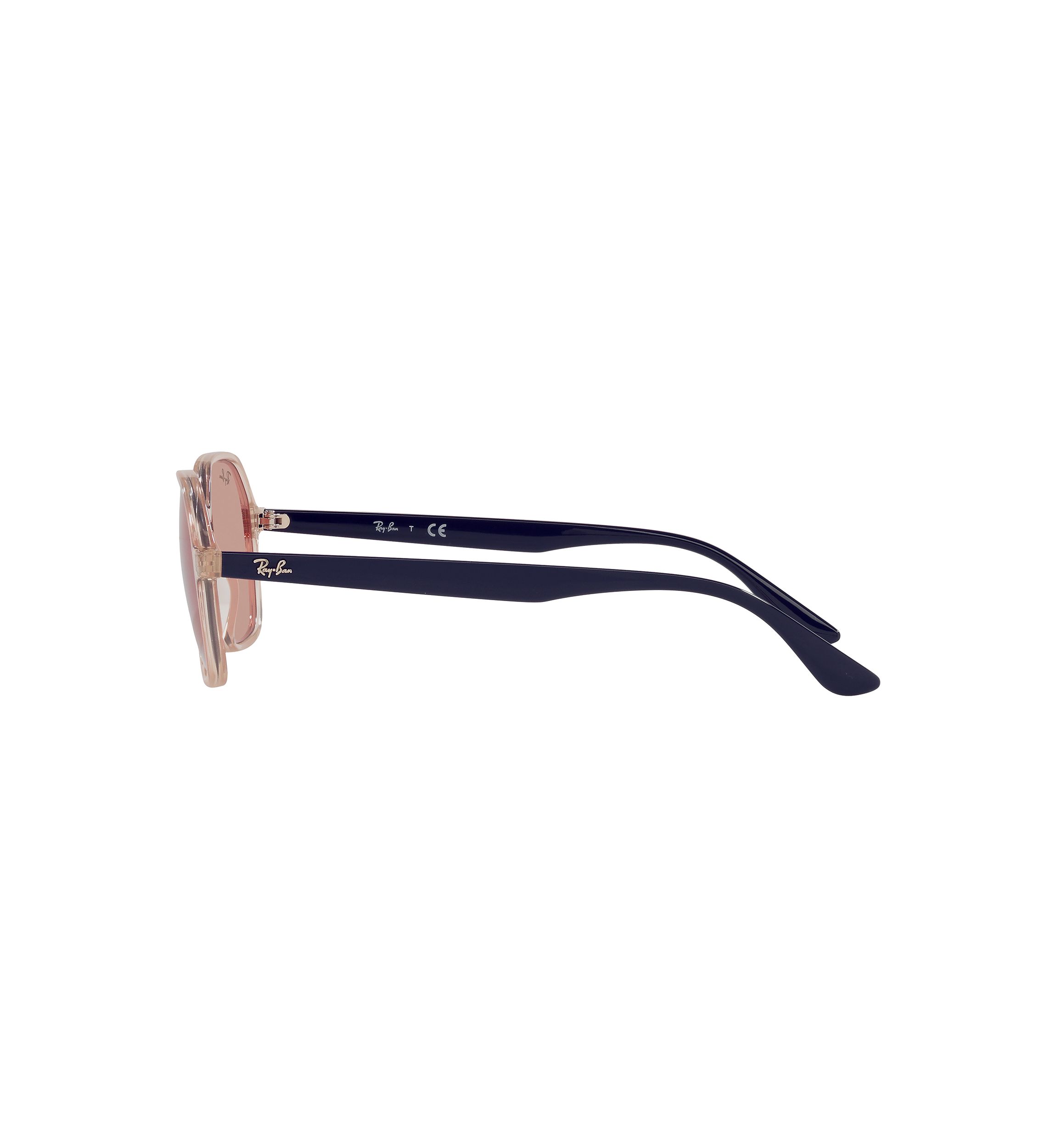 RB4361 Evolve Sunglasses