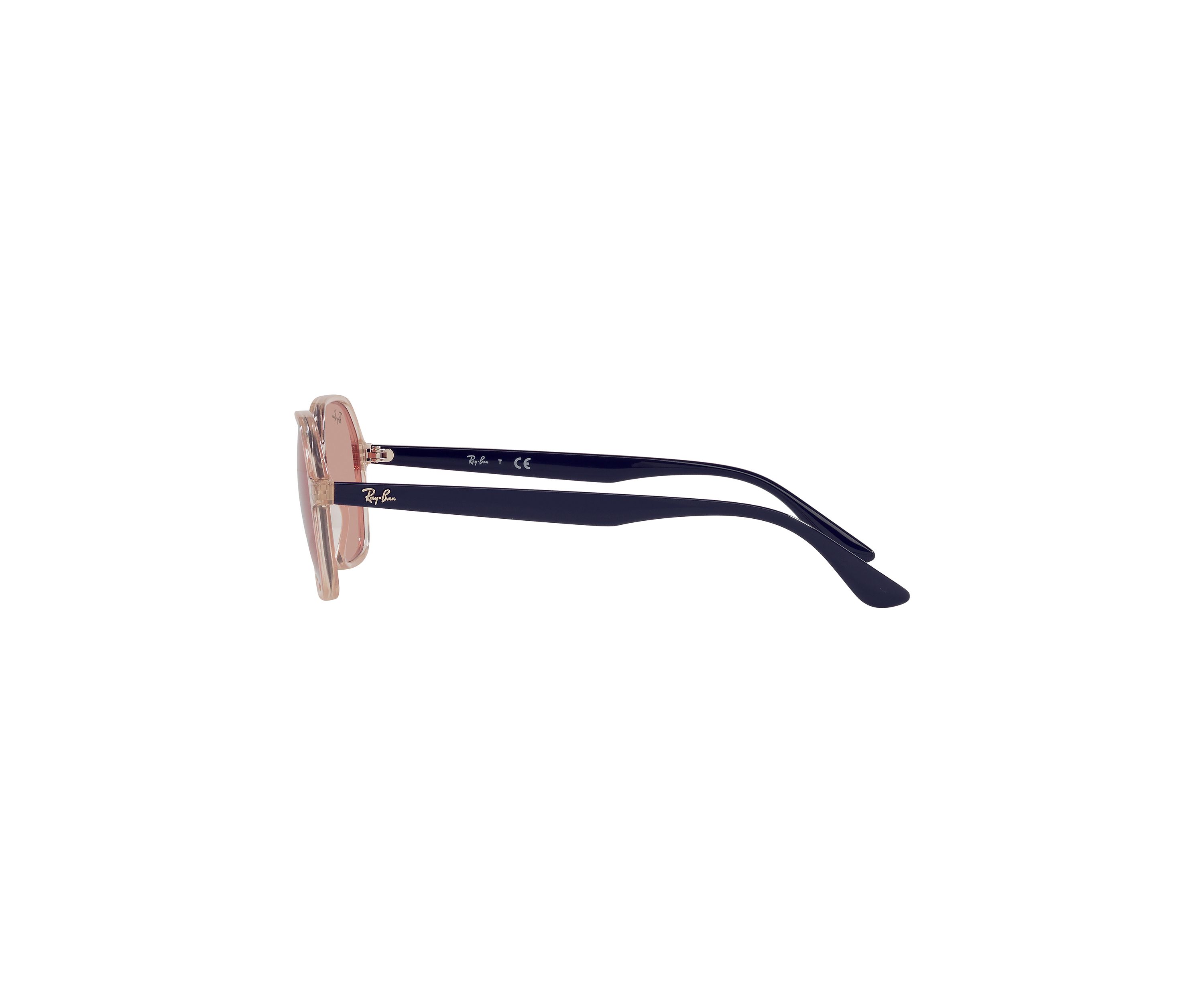 RB4361 Evolve Sunglasses