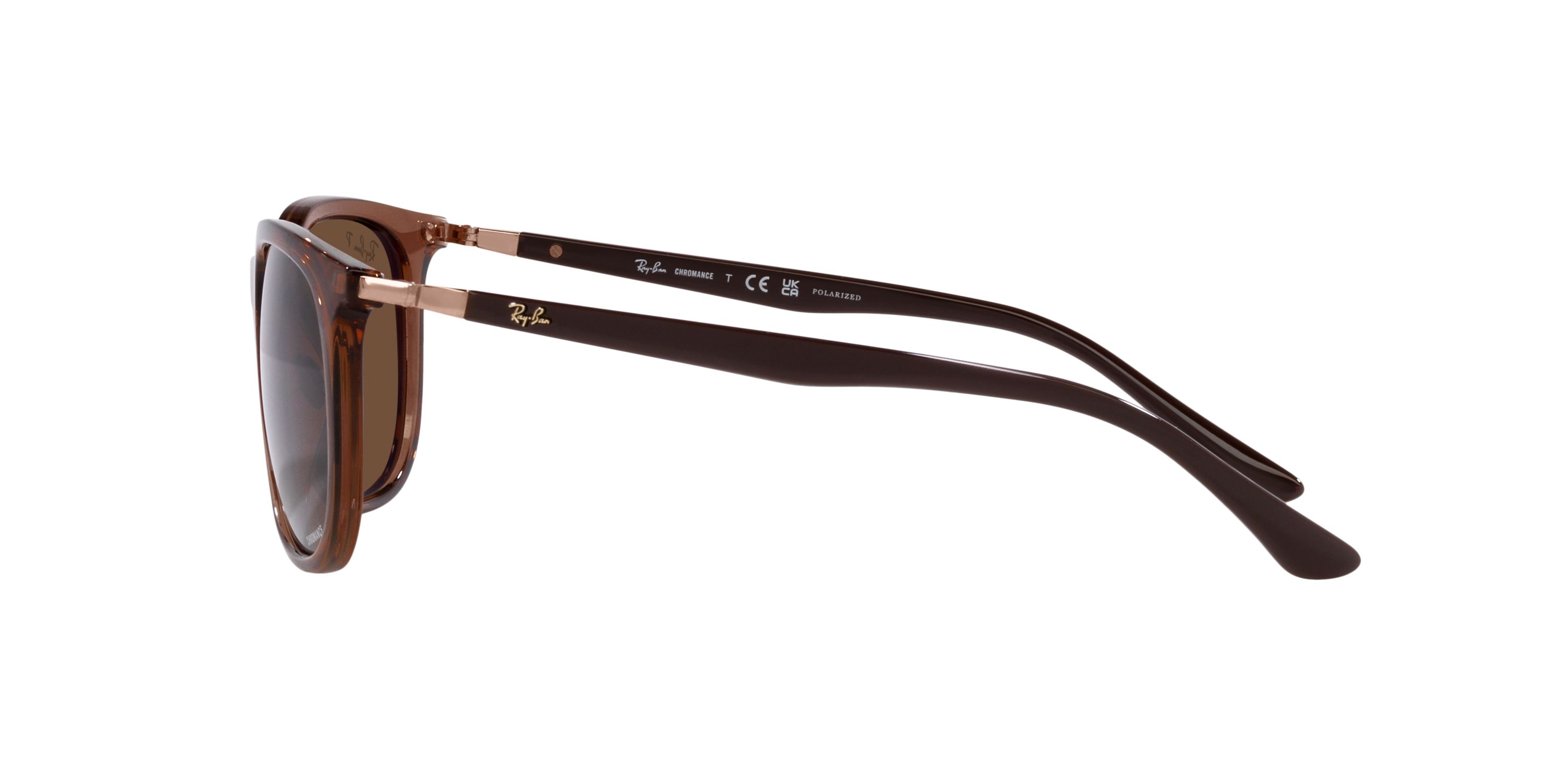 Ray-Ban RB4386 Polarized Sunglasses | Belk