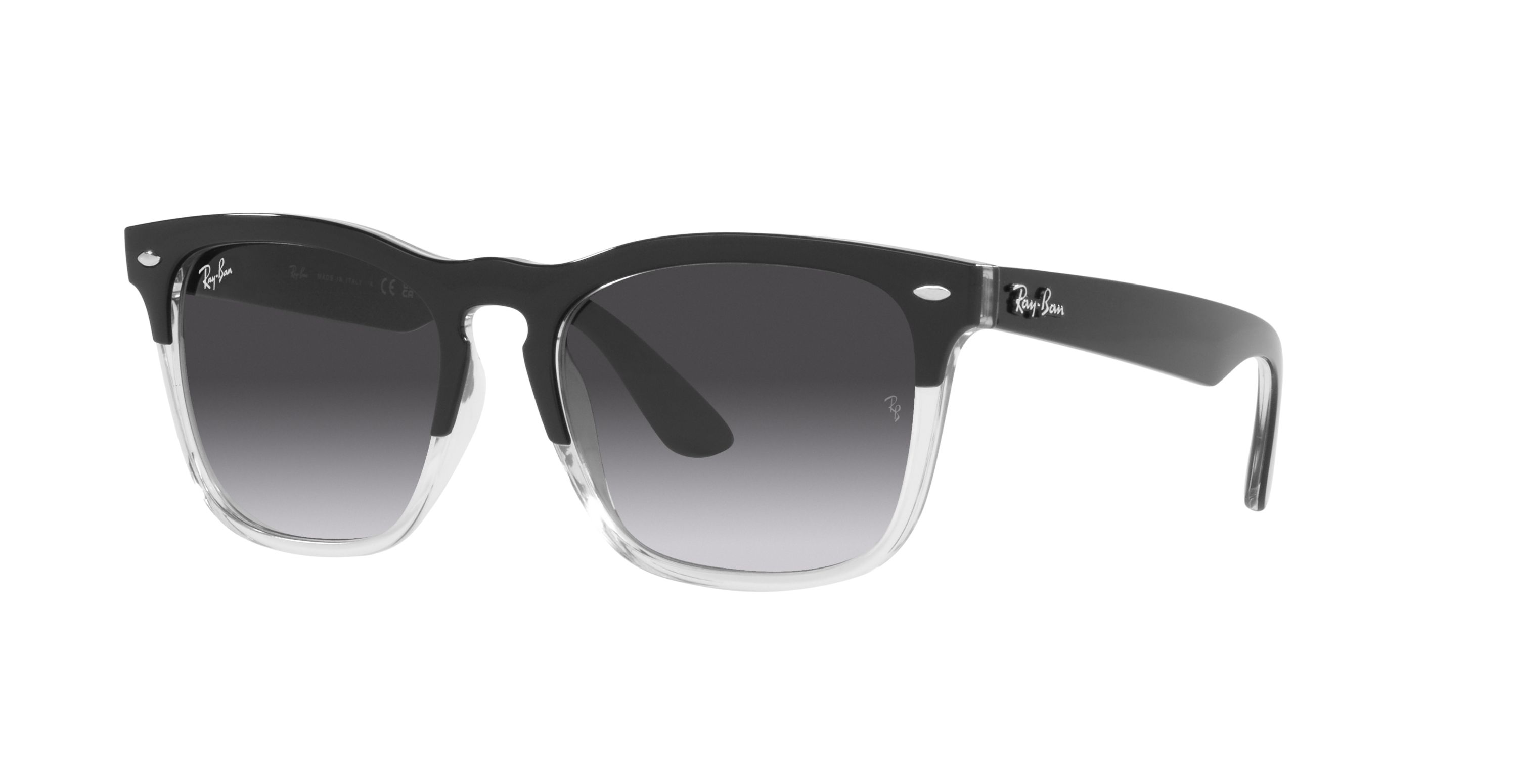 RB4487 Steve Sunglasses