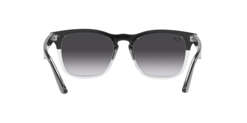 RB4487 Steve Sunglasses