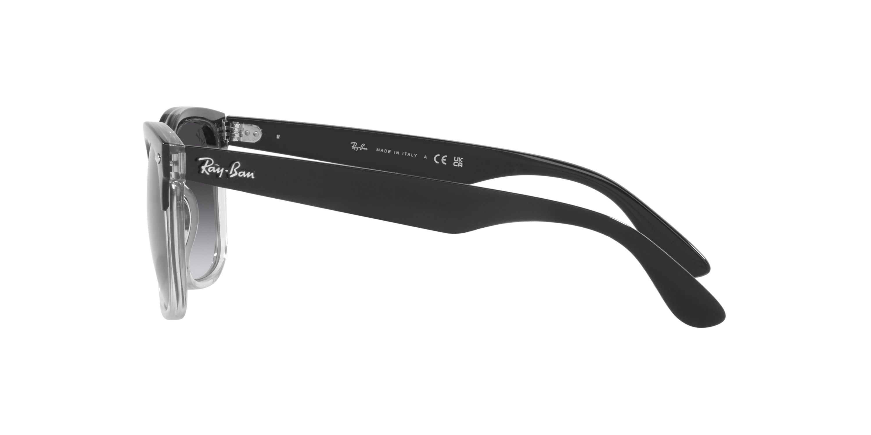 RB4487 Steve Sunglasses