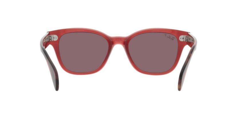 RB0880S Polarized Sunglasses