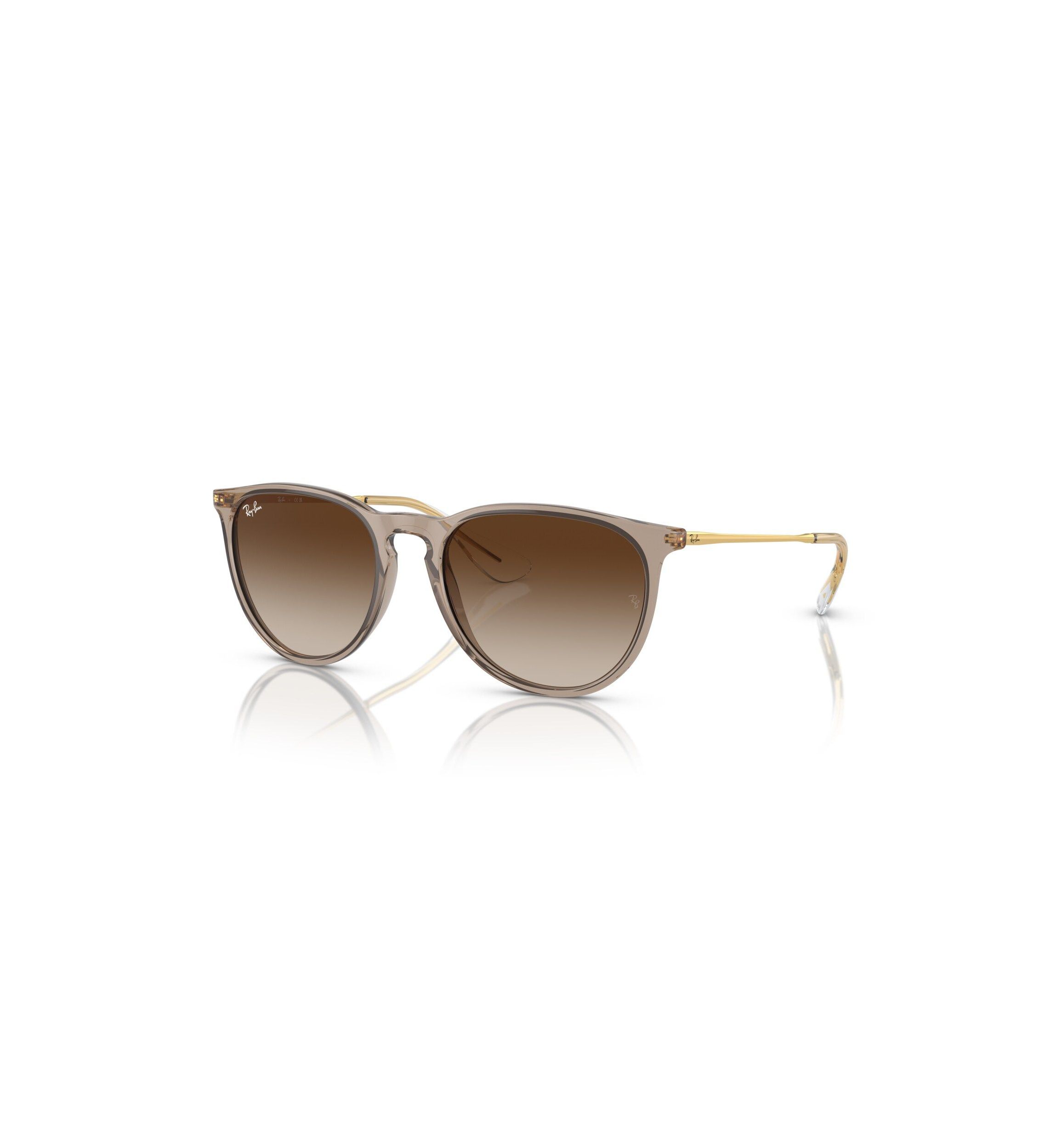 RB4171 Erika Classic Sunglasses