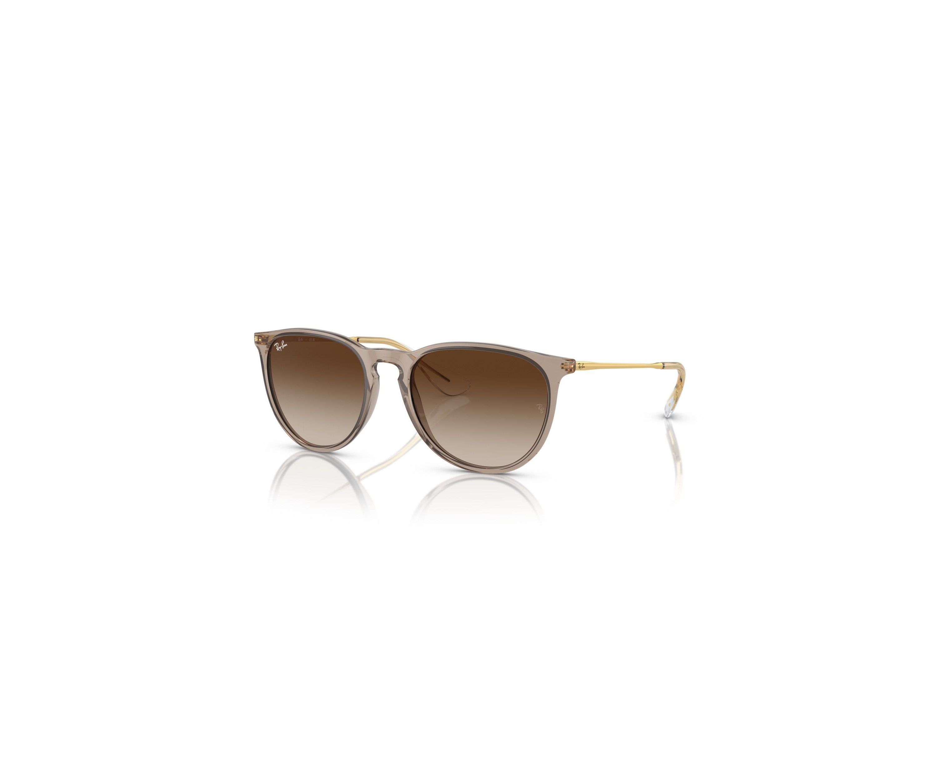 RB4171 Erika Classic Sunglasses