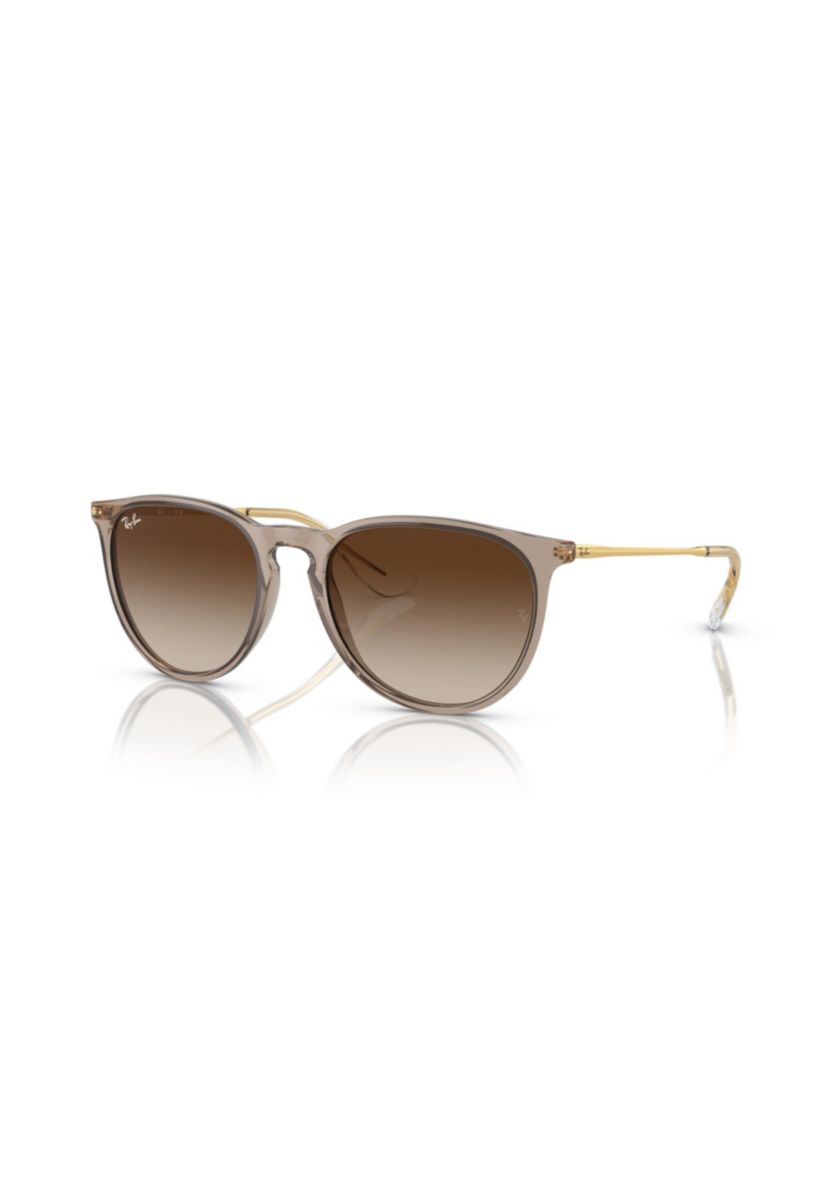 RB4171 Erika Classic Sunglasses