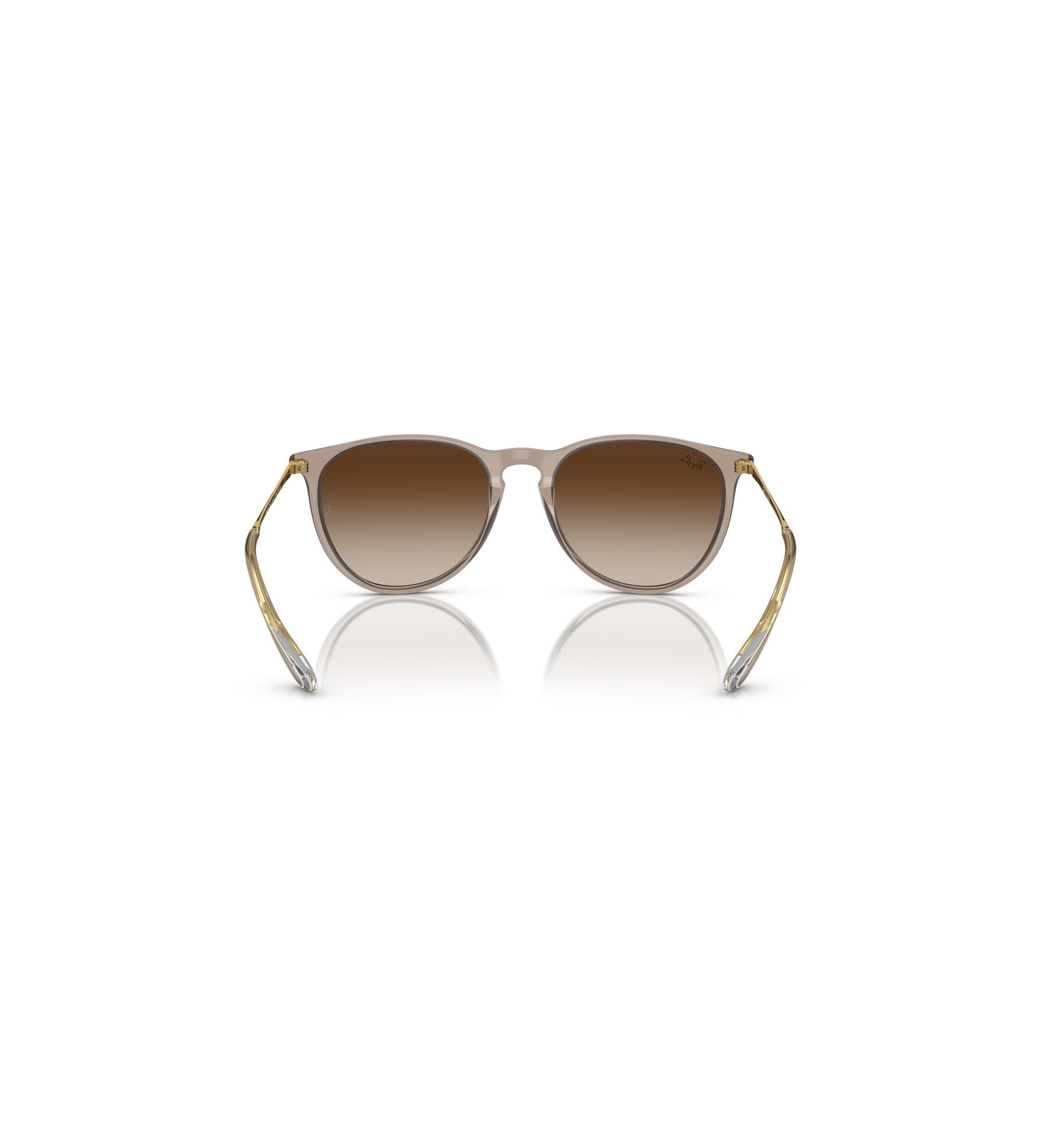 RB4171 Erika Classic Sunglasses