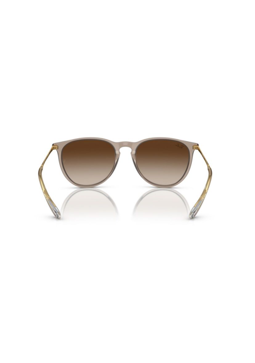 RB4171 Erika Classic Sunglasses