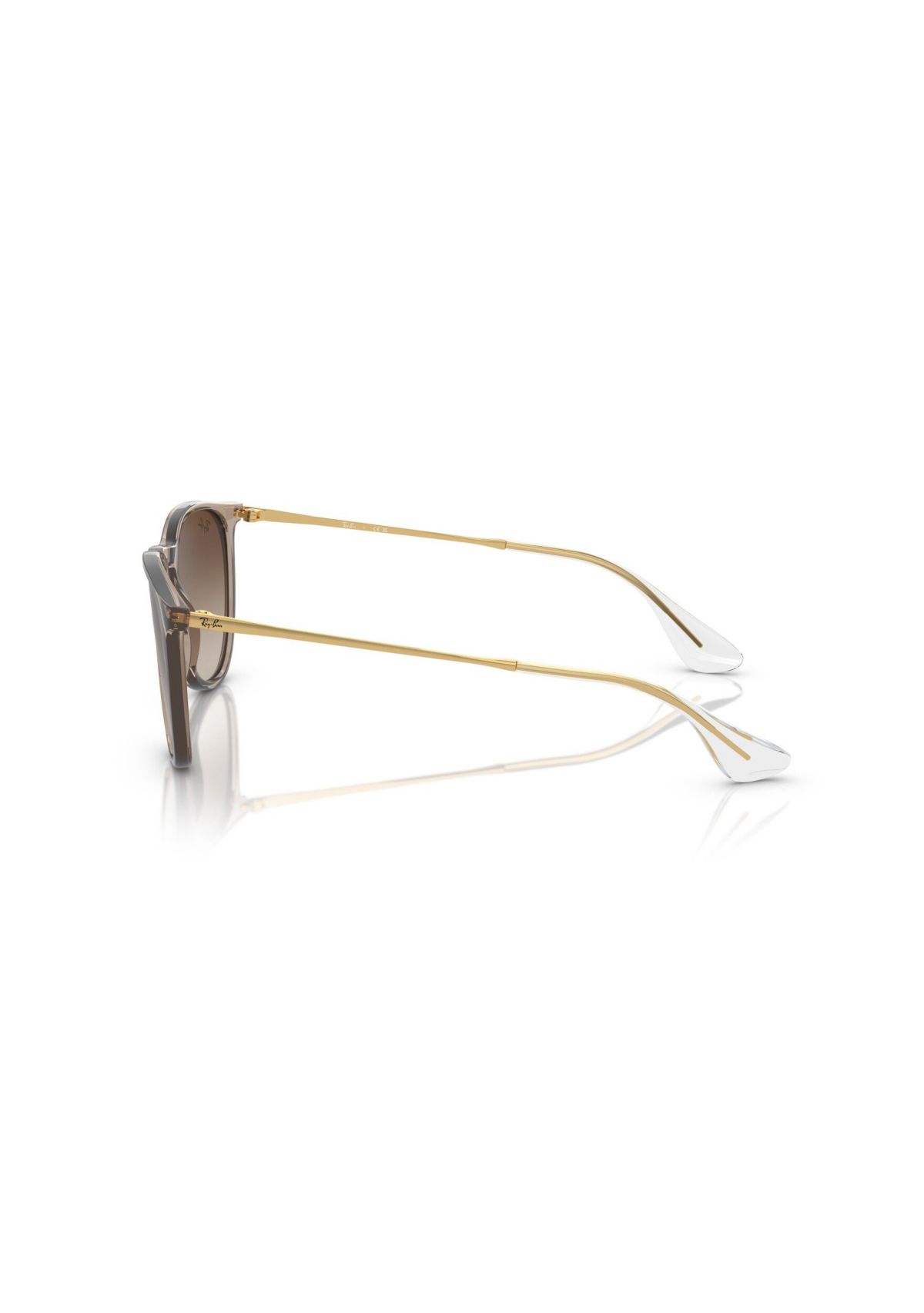 RB4171 Erika Classic Sunglasses