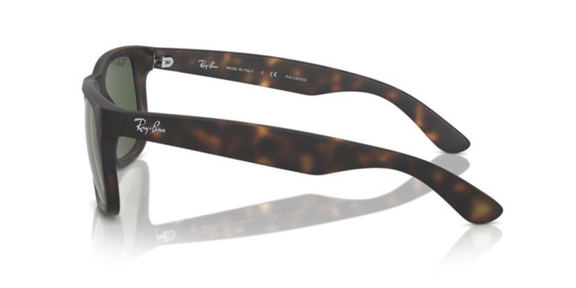 RB4165 Justin Classic Polarized Sunglasses