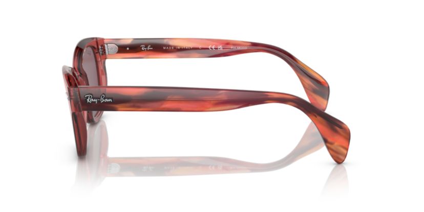 RB0880S Polarized Sunglasses