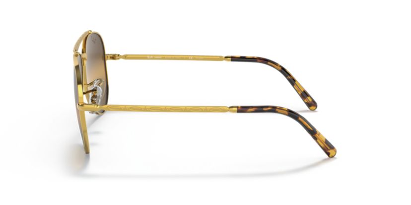 RB4259 Sunglasses