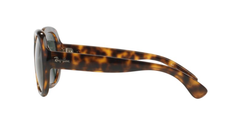 RB4191 Sunglasses