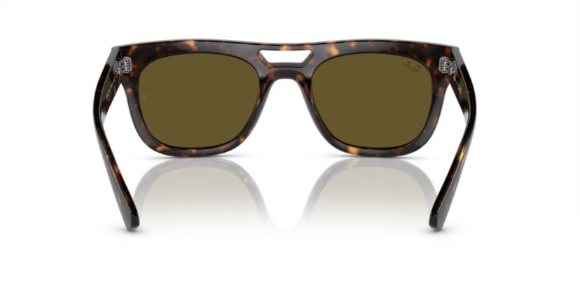 RB4426 Phil Bio-Based Sunglasses