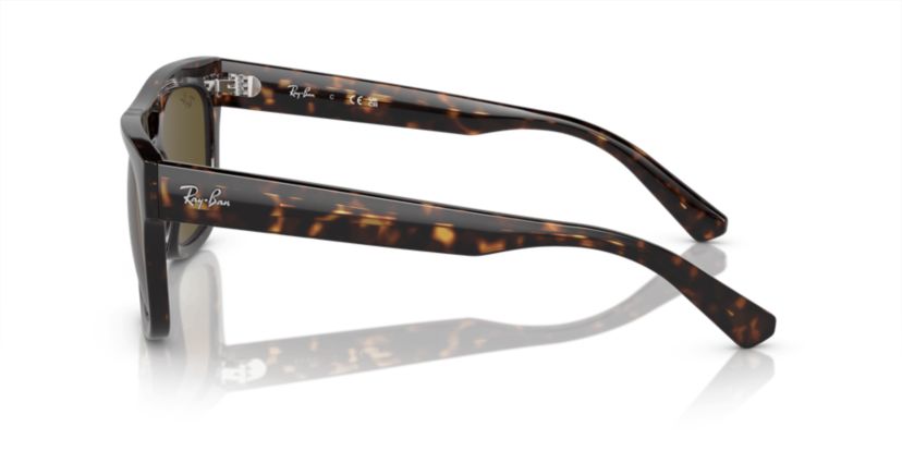 RB4426 Phil Bio-Based Sunglasses