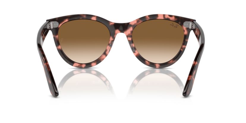 RB2241 Wayfarer Way Sunglasses