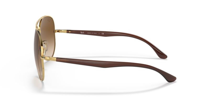 RB3675 Sunglasses