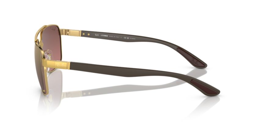RB3701 Polarized Sunglasses