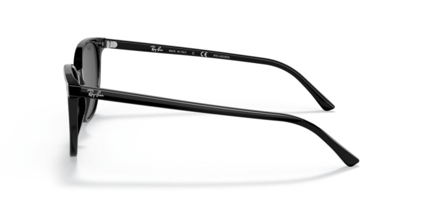 RB2197 Elliot Sunglasses
