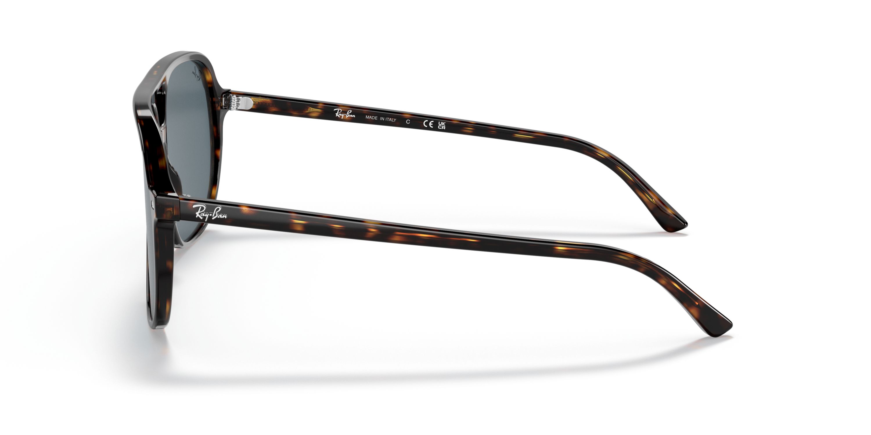 RB2198 Bill Sunglasses