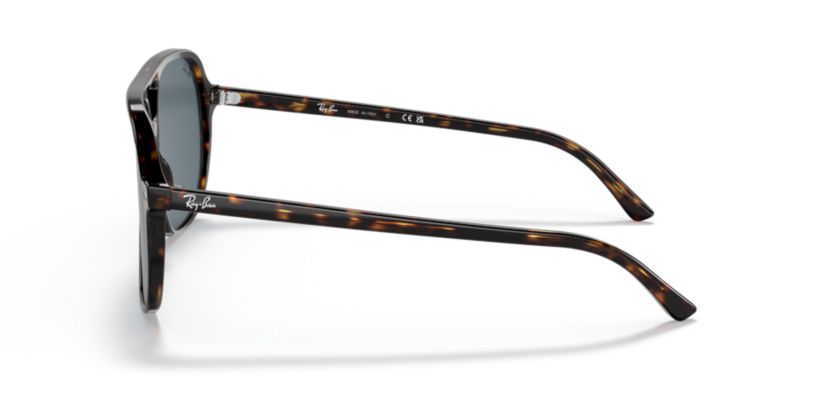 RB2198 Bill Sunglasses