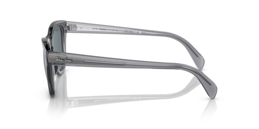 RB0707S Polarized Sunglasses