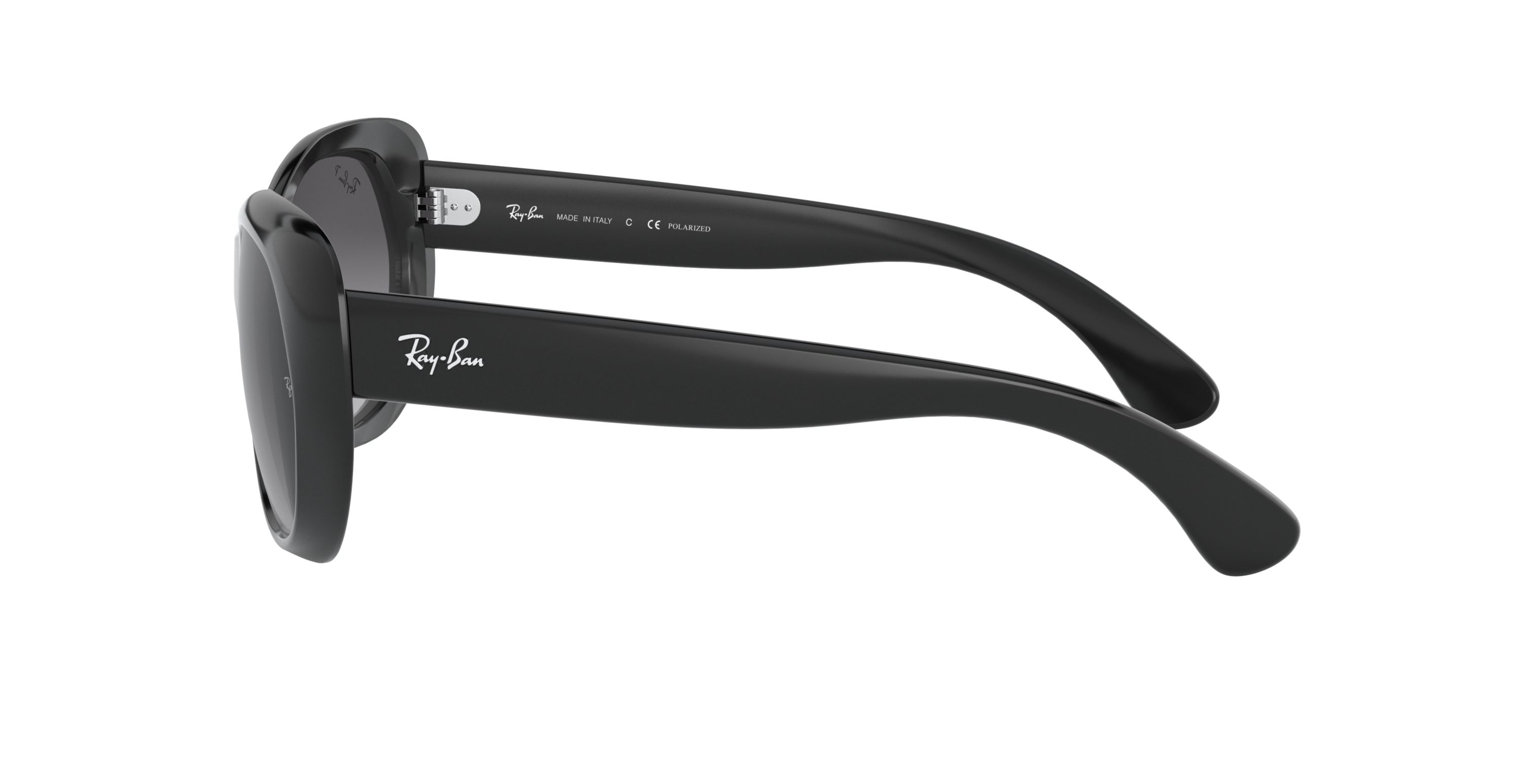 RB2193 Leonard Polarized Sunglasses