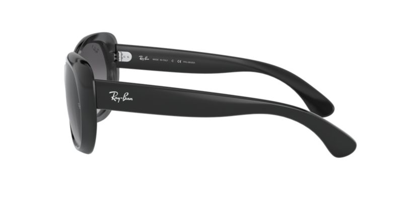 RB2193 Leonard Polarized Sunglasses