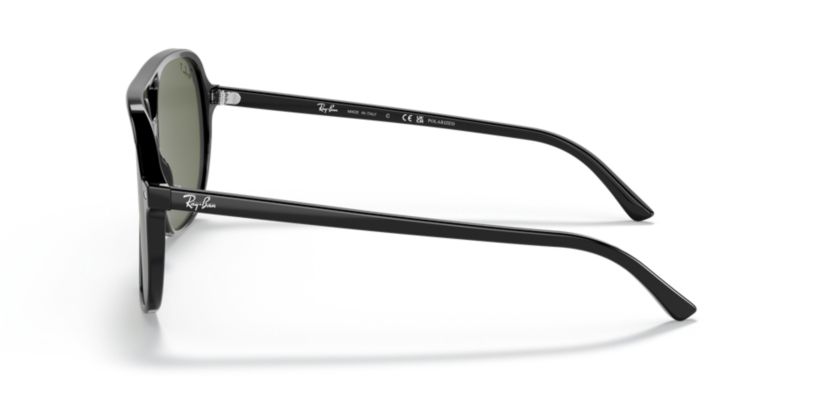 RB2198 Bill Polarized Sunglasses