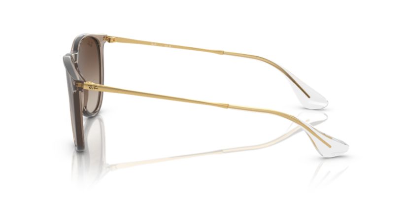 RB4171 Erika Classic Sunglasses