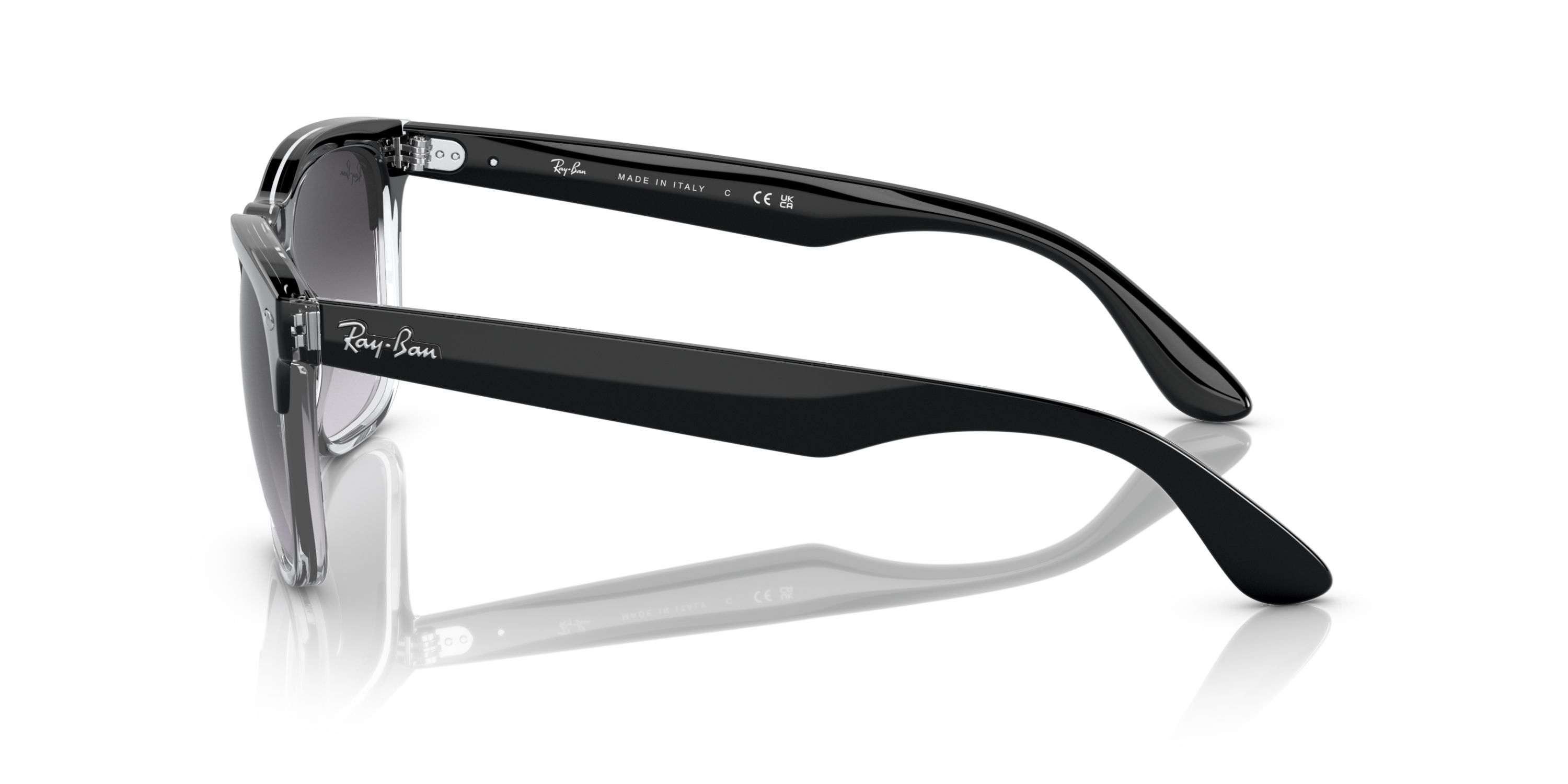 RB4487 Steve Sunglasses