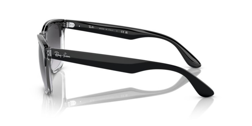 RB4487 Steve Sunglasses