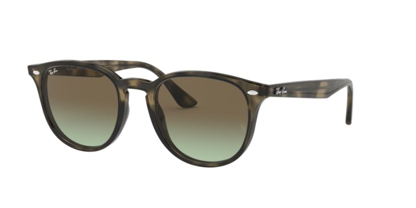 RB4361 Evolve Sunglasses