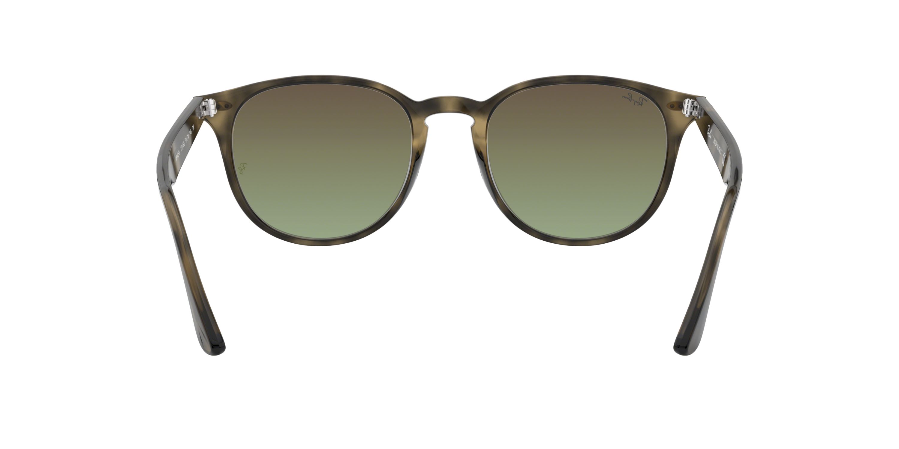 RB4361 Evolve Sunglasses
